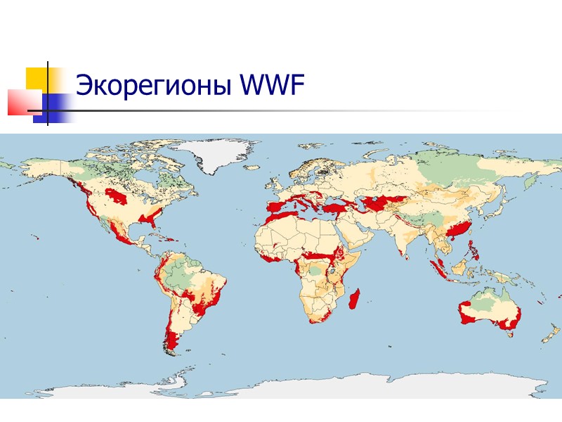 Экорегионы WWF